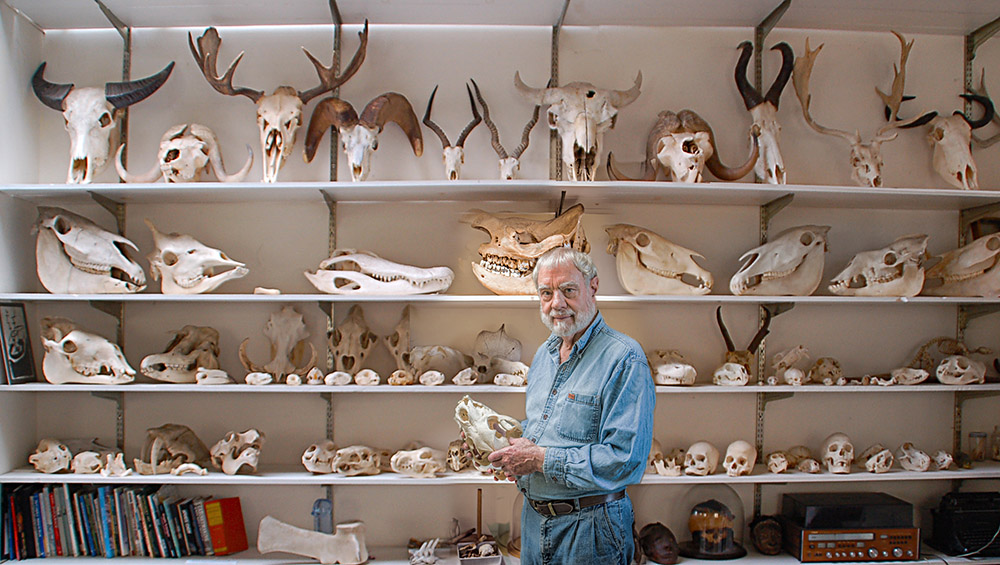 The 60-Year Skull Collection